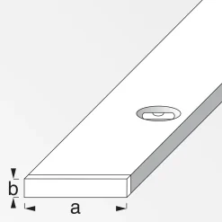 alfer Combitech Richtlatte mit Libelle 300 cm Hartaluminium