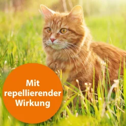 ARDAP Spot On Floh- und Zeckenschutztropfen für Katzen unter 4 kg 3 x 0,4 ml