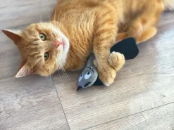 Aumüller Katzenspielzeug Frido Fledermaus 23 cm schwarz grau