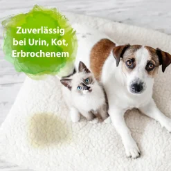 Bactador Geruchs- und Fleckenentferner Spray 750 ml