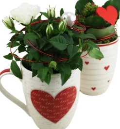 Bepflanzte Arrangements zu Muttertag Tasse