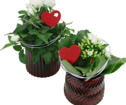 Bepflanzte Arrangements zu Muttertag Glastopf