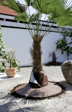 Bio Green Palmen Wurzelschutz  Höhe 30 cm, Ø Stamm 30cm, Ø Gesamt 100 cm