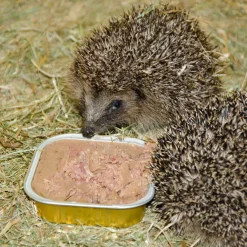Bio-Pastete für Igel