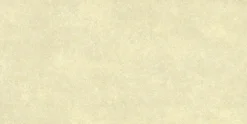 Bodenfliese Feinsteinzeug Absolute 31 x 62 cm beige