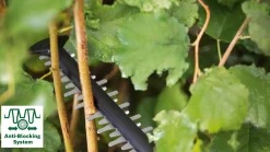 Bosch Elektro-Heckenschere EasyHedgeCut 55