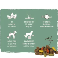 Bosch Hundetrockenfutter Adult Menue 15 kg Geflügel & Fisch mit Kräuter