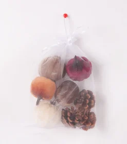 Dekofigur Kürbisse & Tannenzapfen Ø 7 cm bunt 8 Stück