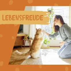 Dokas Nasch-Creme mit Käse 90 g (Katze)