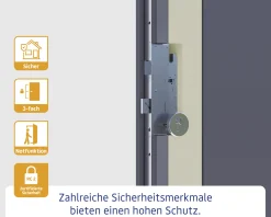 EcoStar Haustür ISOPRO Secur IPS 810S RC2 dark oak 110 x 210 cm