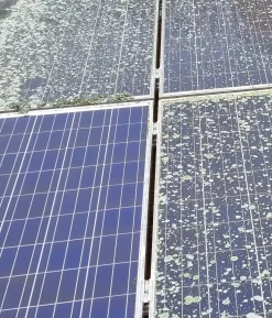 Edialux Enzimo Solaranlagen- & PV-Anlagen-Reiniger 2,5L