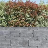 EHL Mauerstein Verona Antik 20 x 20 x 14 cm anthrazit