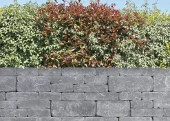 EHL Mauerstein Verona Antik 20 x 20 x 14 cm anthrazit