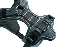 Hunter Hundegeschirr Divo L grau/grau