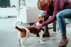 Hunter Hundegeschirr Hilo Comfort M braun