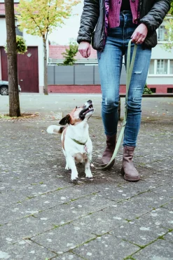 Hunter Hundehalsband Inari Alu-Strong L lindgrün