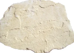 Kann Trittstein Nativa 56 x 42 x 4 cm kalkstein