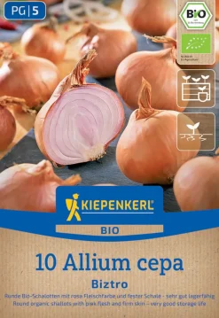 Kiepenkerl Bio Schalotte Biztro Gr. 7/14, 10 Stück