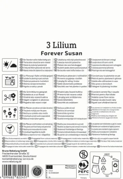 Kiepenkerl Frühjahrsblumenzwiebel Asiatische Lilie Forever Susan 3 Stück