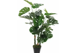 Mica Monstera im Topf grün, 100 x 75 cm