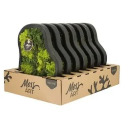 Moosbild freie Form Ø 36 cm mit echtem Moos
