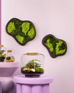 Moosbild freie Form Ø 36 cm mit echtem Moos
