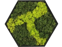 Moosbild hexagonal 38 cm mit echtem Moos