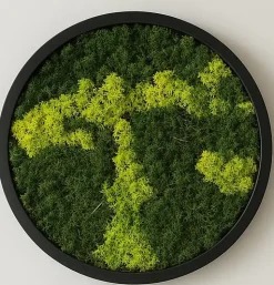 Moosbild rund Ø 27 cm mit echtem Moos