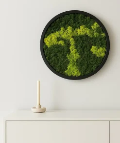 Moosbild rund Ø 38 cm mit echtem Moos