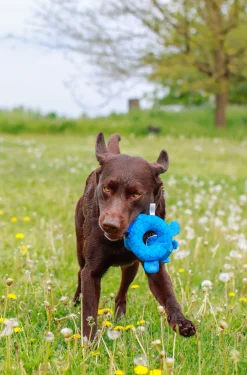 Nobby Biber Floating 27 cm