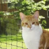 Nobby Katzenschutznetz schwarz Größe M 4 x 3 m