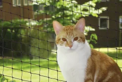 Nobby Katzenschutznetz schwarz Größe M 4 x 3 m