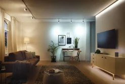 Paulmann Smart Home MaxLED TunableWhite Control weiß/Grau ZigBee