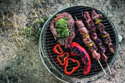 Petromax Grill Atago Edelstahl