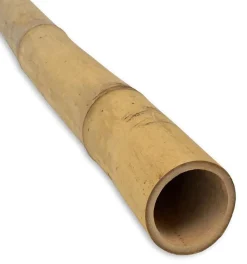 Pflanzstab Bambus 180 cm Ø 12/14 mm