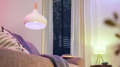 Philips Smart LED Leuchtmittel Tunable White & Color A67 E27 Birne 13 W
