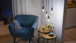 Philips Smart LED Leuchtmittel Tunable White Amber A60 E27 Birnenform 7 W