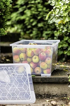 Rotho Aufbewahrungsbox EVO Easy 44 L transparent 58,3 x 39,2 x 27,7 cm