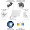Steinel Strahler XLED Home 2 S Graphit mit Bewegungsmelder, Sensor