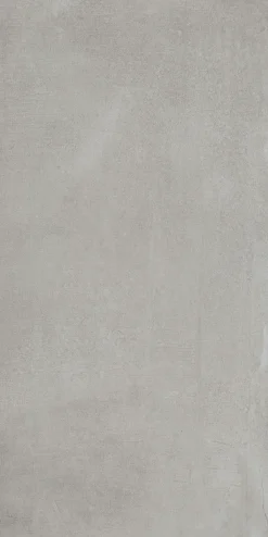 Wand- und Bodenfliese Feinsteinzeug Infinity 60 x 120 cm grau