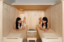 Weka Element-Sauna Kaarina 1 mit Glastür